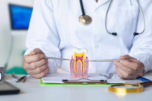 Best Emergency Dental Care for Abscessed Tooth in Muhlenberg Rk, PA
